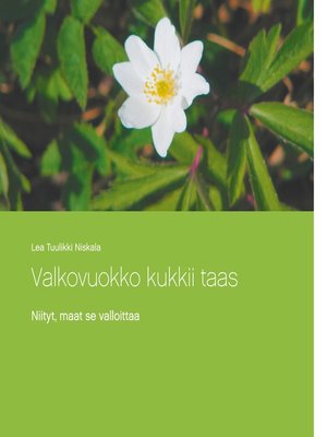 cover image of Valkovuokko kukkii taas
